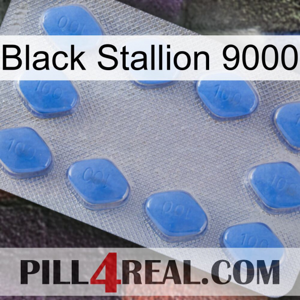 Black Stallion 9000 21.jpg